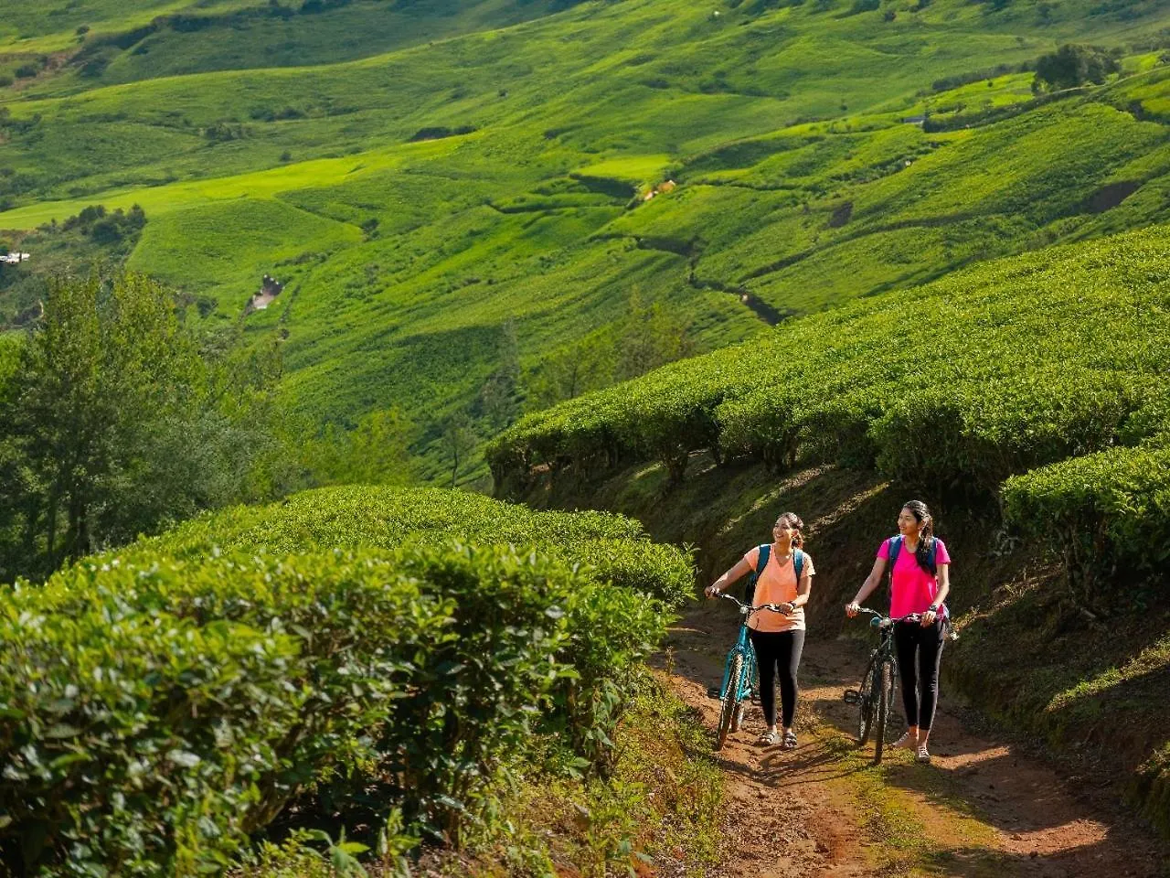 *****  Le Montfort Resort Munnar India
